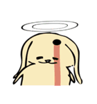 Miso Rabbit（個別スタンプ：25）