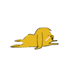 Miso Rabbit（個別スタンプ：30）