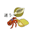 うみのなかⅡ（個別スタンプ：14）