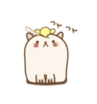 にゃんとぴよこさん〜効果音付き〜（個別スタンプ：24）