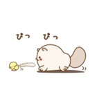 にゃんとぴよこさん〜効果音付き〜（個別スタンプ：25）