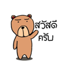 serious bear（個別スタンプ：10）