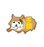ポメラニアンのチロル（個別スタンプ：23）