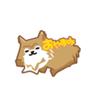 ポメラニアンのチロル（個別スタンプ：30）