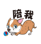 0.5mm Chihuahua（個別スタンプ：17）