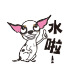 0.5mm Chihuahua（個別スタンプ：19）