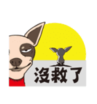 0.5mm Chihuahua（個別スタンプ：32）