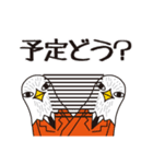荒ぶるトリ男（個別スタンプ：33）