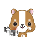 WenWen, The Puppy（個別スタンプ：3）