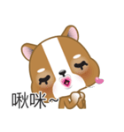 WenWen, The Puppy（個別スタンプ：5）