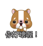 WenWen, The Puppy（個別スタンプ：12）