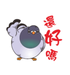 Fat pigeons pass messages（個別スタンプ：2）