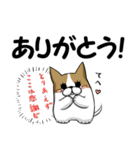 チワワだと思ったら、これ絶対違う生物だわ（個別スタンプ：3）