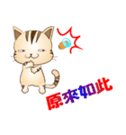 野良猫レオの台湾バージョン（個別スタンプ：11）