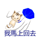 野良猫レオの台湾バージョン（個別スタンプ：21）