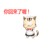 野良猫レオの台湾バージョン（個別スタンプ：24）