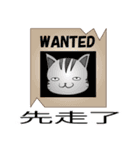野良猫レオの台湾バージョン（個別スタンプ：33）