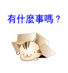 野良猫レオの台湾バージョン（個別スタンプ：36）