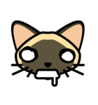 Momo the Siamese Cat（個別スタンプ：5）