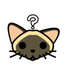 Momo the Siamese Cat（個別スタンプ：6）