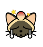 Momo the Siamese Cat（個別スタンプ：16）