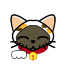 Momo the Siamese Cat（個別スタンプ：27）