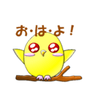 ぷっくりインコ（個別スタンプ：1）