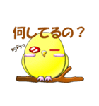 ぷっくりインコ（個別スタンプ：2）
