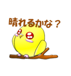 ぷっくりインコ（個別スタンプ：3）