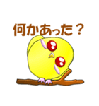 ぷっくりインコ（個別スタンプ：4）