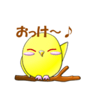 ぷっくりインコ（個別スタンプ：6）