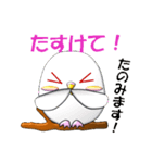 ぷっくりインコ（個別スタンプ：12）