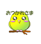 ぷっくりインコ（個別スタンプ：25）