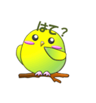 ぷっくりインコ（個別スタンプ：29）