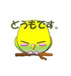ぷっくりインコ（個別スタンプ：30）
