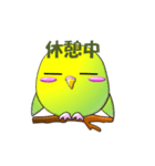 ぷっくりインコ（個別スタンプ：31）