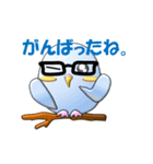 ぷっくりインコ（個別スタンプ：37）