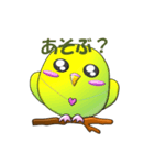 ぷっくりインコ（個別スタンプ：40）