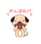 プレパグくん（個別スタンプ：5）
