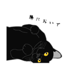 リアル系黒猫の恋愛慕（個別スタンプ：11）