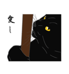 リアル系黒猫の恋愛慕（個別スタンプ：13）
