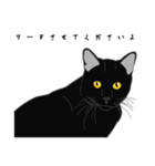リアル系黒猫の恋愛慕（個別スタンプ：23）