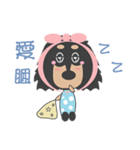 QQ candy-mini Dachshund（個別スタンプ：5）