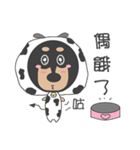 QQ candy-mini Dachshund（個別スタンプ：11）