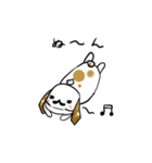 たれ耳ひげうさぎ（個別スタンプ：7）