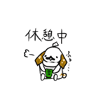 たれ耳ひげうさぎ（個別スタンプ：19）