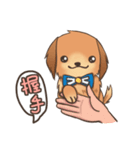 Golden Retriever~ Lala Love You~（個別スタンプ：17）