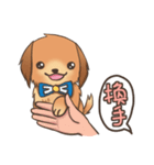 Golden Retriever~ Lala Love You~（個別スタンプ：21）