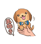 Golden Retriever~ Lala Love You~（個別スタンプ：25）