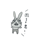 うさぎのらんまる（個別スタンプ：11）